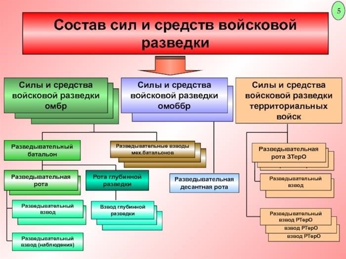 Разведывательный взвод РТЭР или разведывательный взвод РТЭР или разведывательная рота ЗТЭР Состав и значение военных разведывательных подразделений Военные разведывательные подразделения и значение омбр.