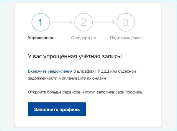 Упрощенная учетная запись в Gosuslugi