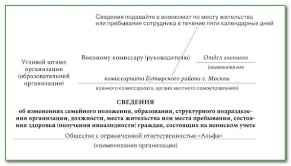 Отчеты, которые будут сдаваться в военкоматы в 2024 году: сроки, образцы